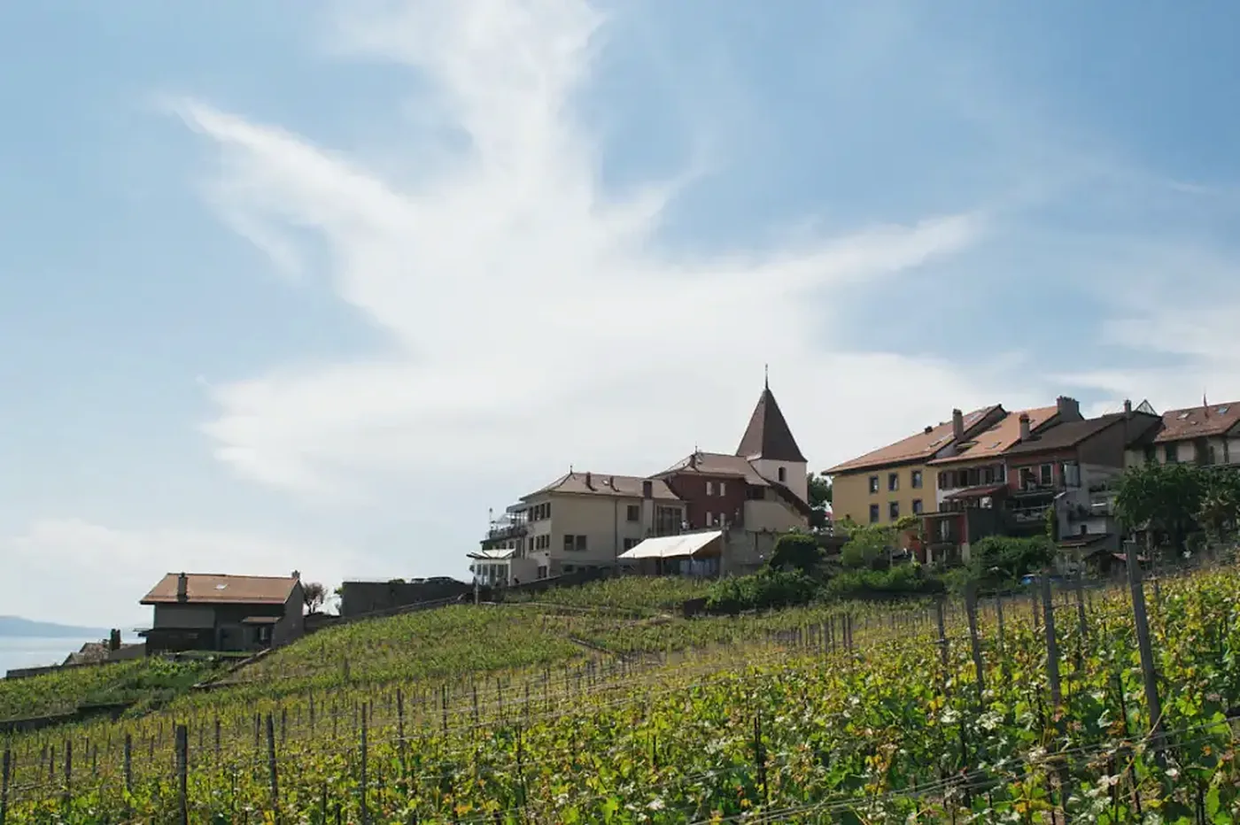 A hillside village above the vines on Lake Geneva
